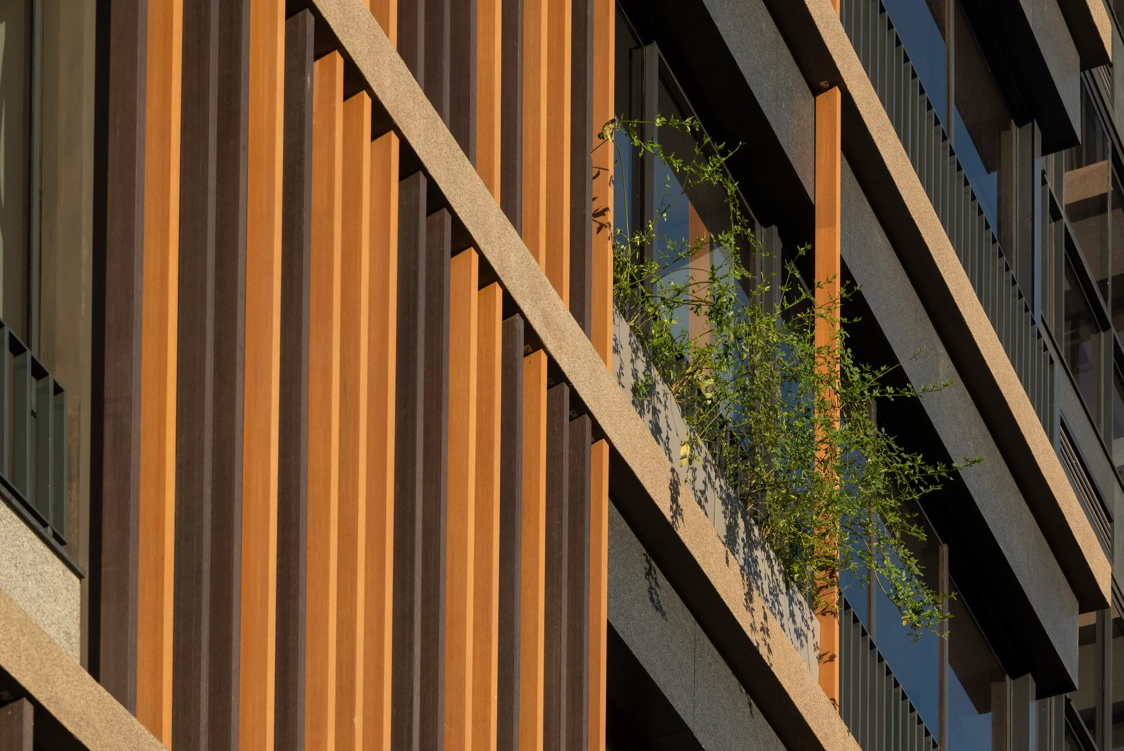 Fachada de edifício com brises verticais em madeira ecológica Lesco.